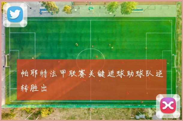 帕耶特法甲联赛关键进球助球队逆转胜出