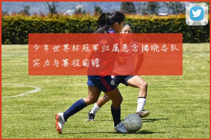 今年世界杯冠军归属悬念揭晓各队实力与赛程前瞻