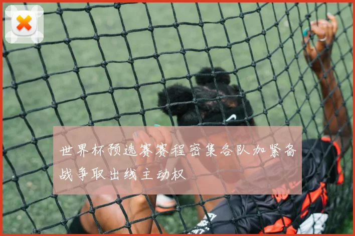 世界杯预选赛赛程密集各队加紧备战争取出线主动权